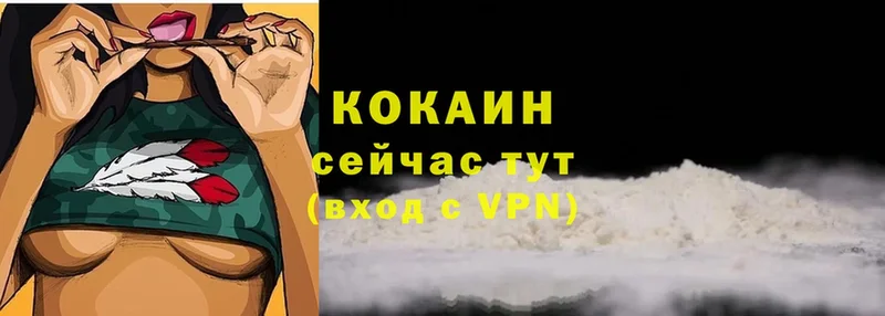 закладка  Борзя  COCAIN FishScale 