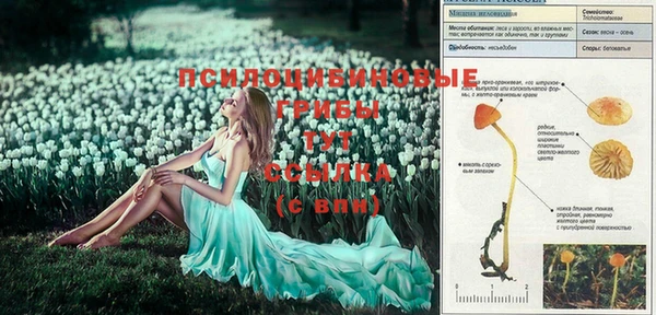 ECSTASY Лиски