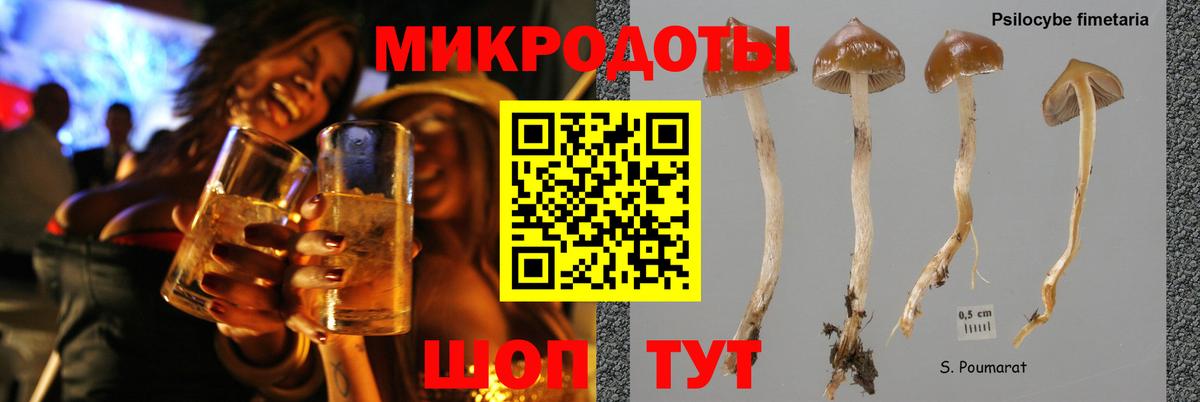 дарнет шоп  Псилоцибиновые грибы Magic Shrooms  Борзя  Псилоцибиновые грибы прущие грибы 