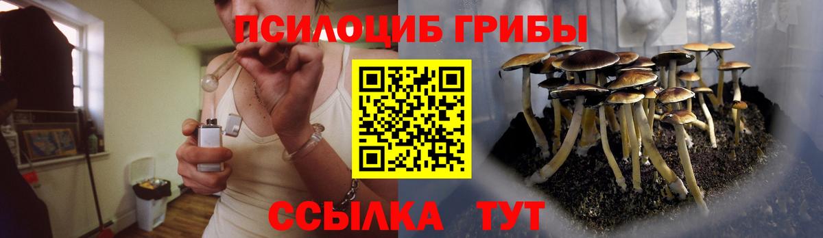 Галлюциногенные грибы Cubensis  Вход с VPN  Борзя 