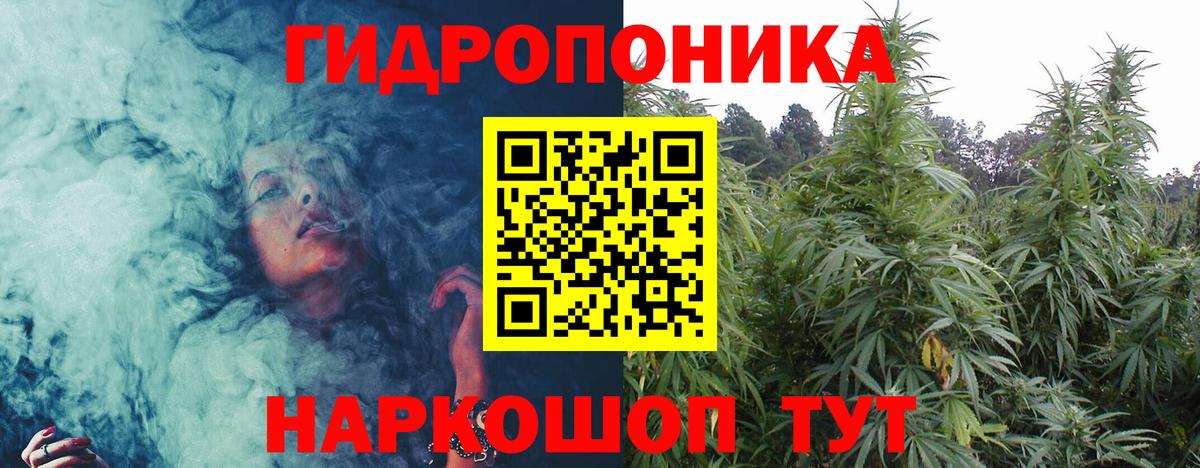 Канабис ГИДРОПОН Борзя